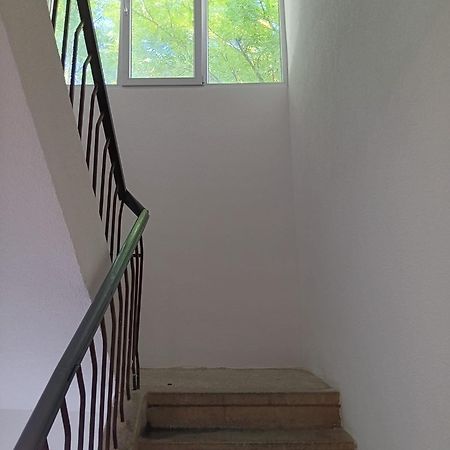 הוסטל דוברובניק Apartman Sonja מראה חיצוני תמונה
